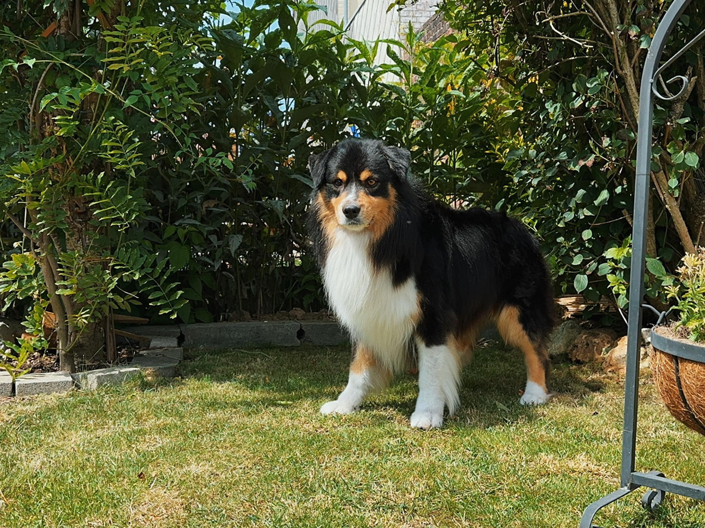 Pikkoro San Pike Du Petit Mont D'éden
